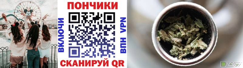 дарнет шоп мега вход Шишки марихуана ГИДРОПОН Черногорск
